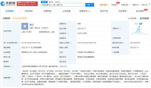 互聯(lián)網(wǎng)設(shè)備銷售 趨勢(shì)、挑戰(zhàn)與未來展望